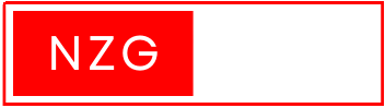NZG STORE